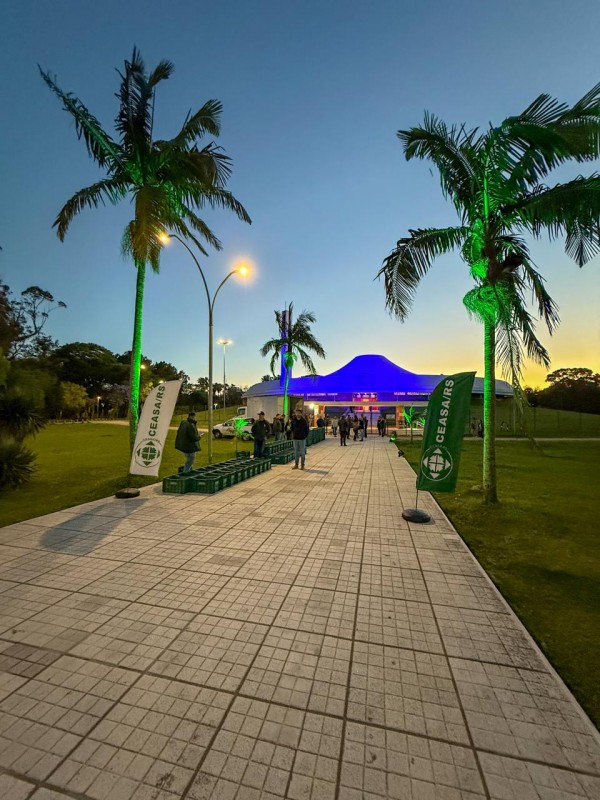 A imagem mostra uma passarela pavimentada com blocos claros, vista em perspectiva, levando até um pavilhão iluminado ao fundo. O céu está no início da noite, com tons suaves de azul e um leve brilho no horizonte. Ao longo do caminho, há palmeiras altas iluminadas com luzes verdes, criando um clima acolhedor e organizado.

De cada lado da passarela, bandeiras verdes com a identificação da CEASA/RS estão posicionadas próximas às palmeiras. Algumas pessoas caminham ou estão paradas ao longo do trajeto, e caixas plásticas verdes estão organizadas no chão, sugerindo logística de coleta ou distribuição de alimentos.

No final da passarela, o prédio principal está iluminado com luzes coloridas, indicando movimentação e atividade no local. A cena transmite a ideia de organização, colaboração e ação solidária acontecendo ao entardecer.